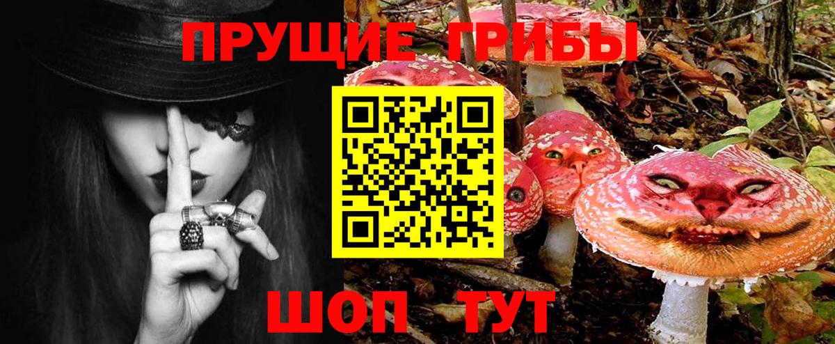 Сальск  Галлюциногенные грибы мицелий  Вход с VPN 